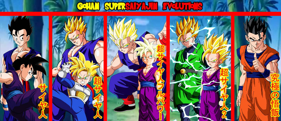 Son Gohan Saiyan Evolutions Wallpaper