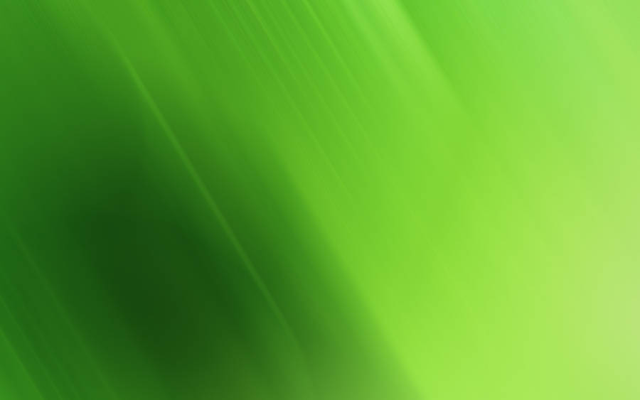 Soothing Green Abstract Art Wallpaper