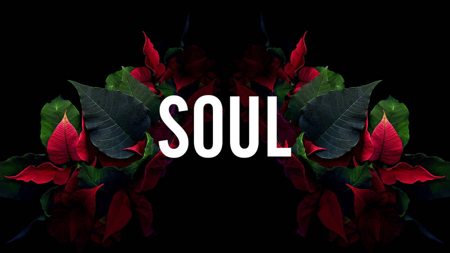 Soul Leaf Arch Dope Laptop Wallpaper
