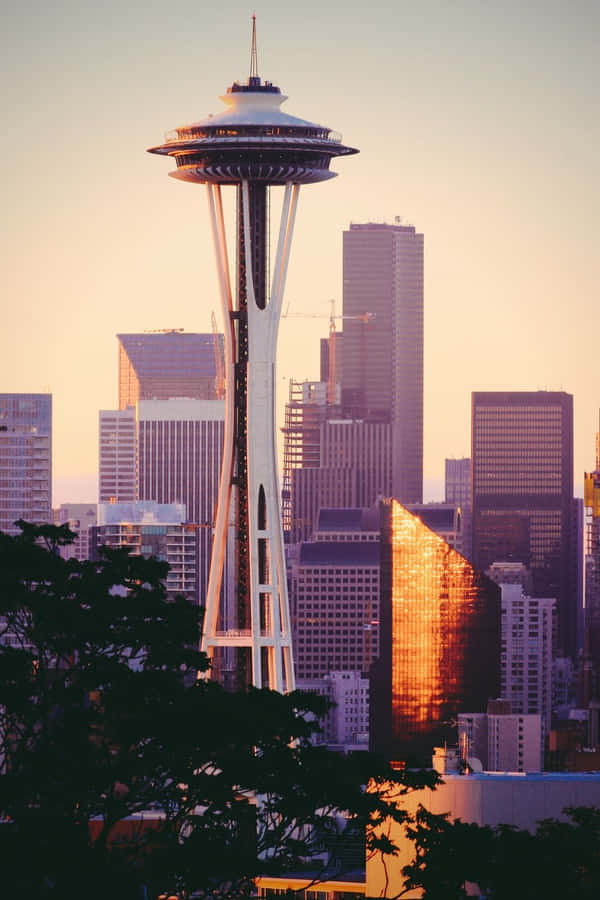 Space Needle Portrait In Cool Seattle Wallpaper