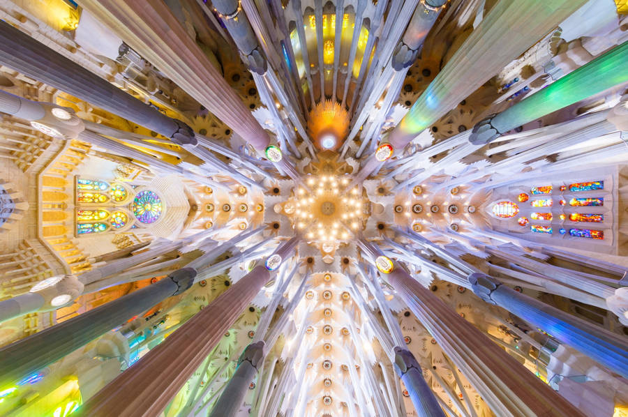 Spain Sagrada Familia Ceiling Wallpaper