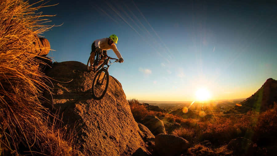 Specialized Mountain Bike On Stone Wallpaper