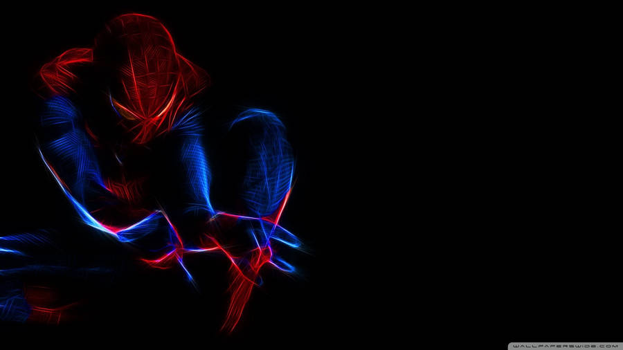 Spider Man Canvas Art Wallpaper