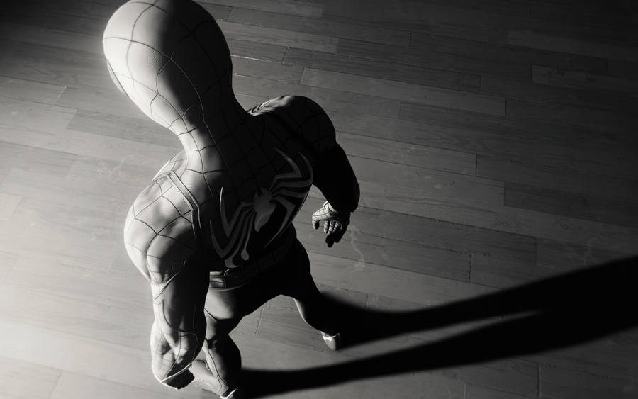 Spider Man White And Black Chiaroscuro Wallpaper