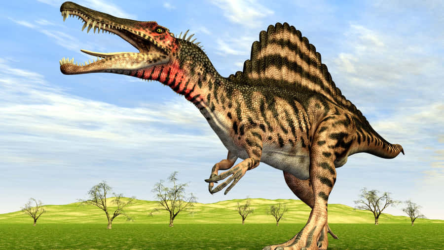 “spinosaurus: The Largest Predatory Dinosaur Ever Found” Wallpaper