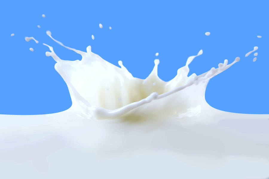Splashing Milk Photography Slow Motion Shot Wallpaper