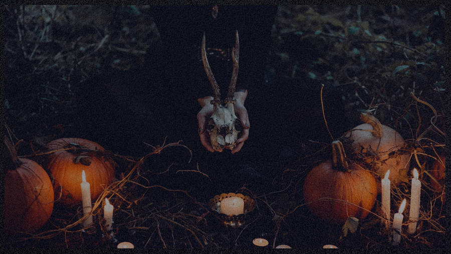Spooky Aesthetic Animal Skull Ritual Wallpaper