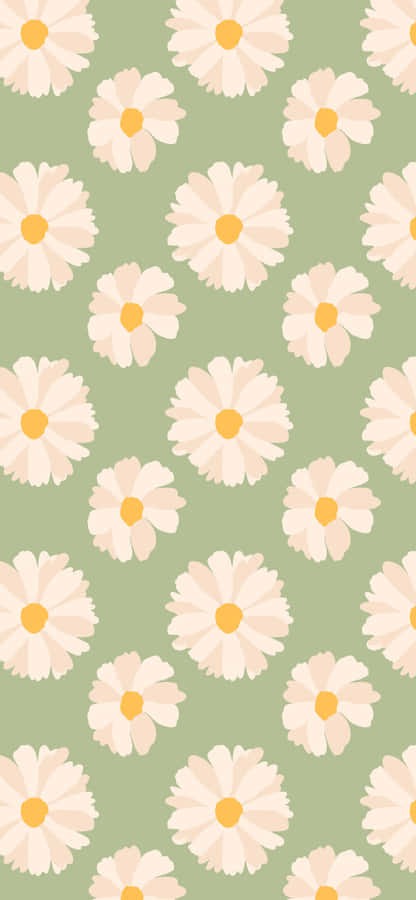 Spring Daisy Iphone Green Background Wallpaper