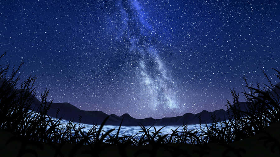 Star Sky With Grass Silhouette Wallpaper