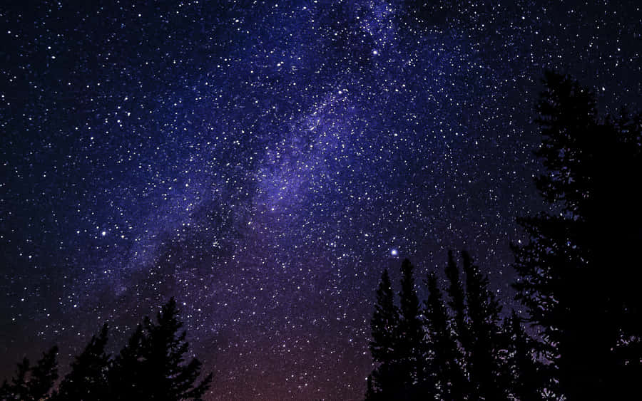 Star Sky With Tree Silhouette Wallpaper