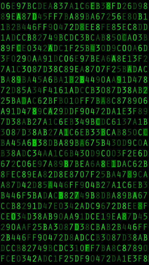 Stay Connected With The Matrix Iphone Wallpaper