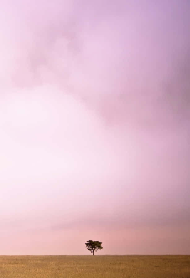 Stay Connected With Tumblr's Latest Smartphone Wallpaper