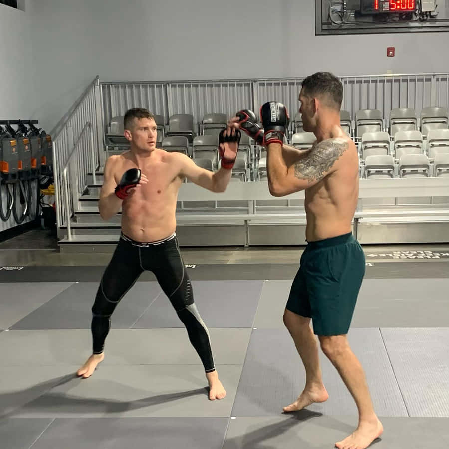 Stephen Thompson Emerging Victorious In The Cage Wallpaper