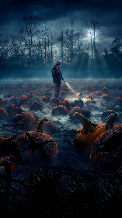 Stranger Things Merrill's Pumpkin Patch Wallpaper