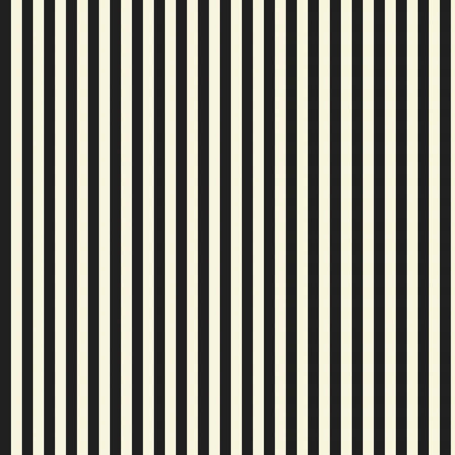 Striking Black And White Stripes Wallpaper