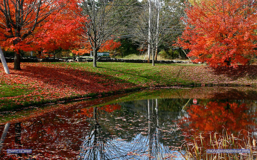 Stroll Through A Serene New England Autumn Wallpaper