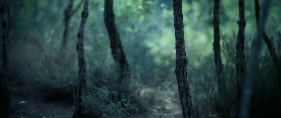 Stunning 3440x1440 Hd Wallpaper. Wallpaper