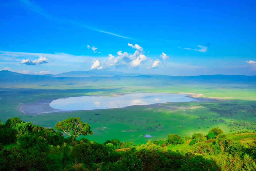 Stunning Image Of Ngorongoro Crater Lake Magadi Wallpaper