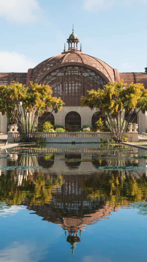 Stunning Skyline Of San Diego For Your Iphone Wallpaper