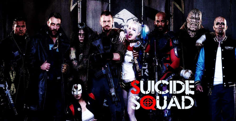 Suicide Squad - Harley Quinn - Harley Quinn - Harley Quinn - Harley Qui Wallpaper