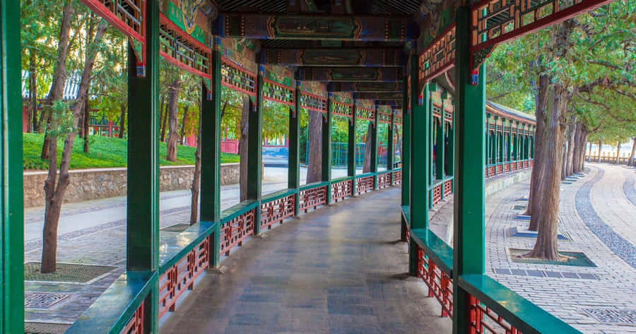 Summer Palace Curve Pathway Wallpaper
