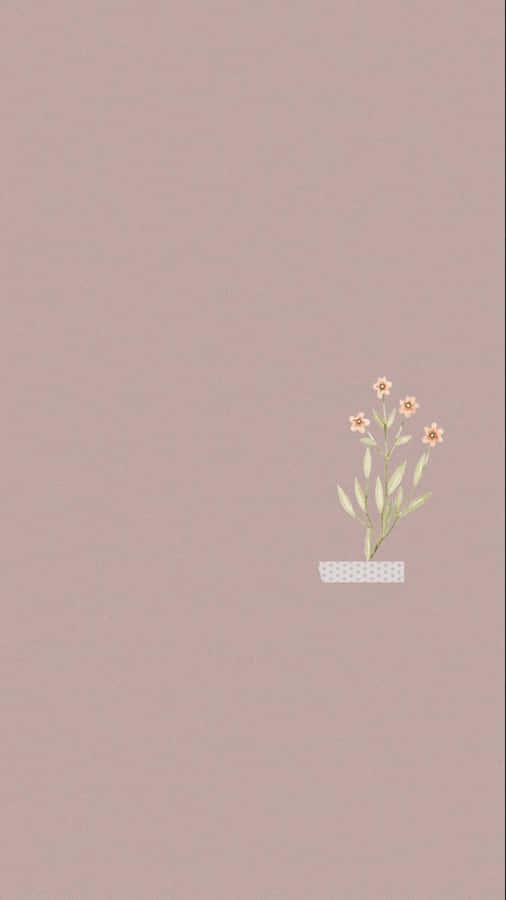 Sunflower For Instagram Stories Wallpaper