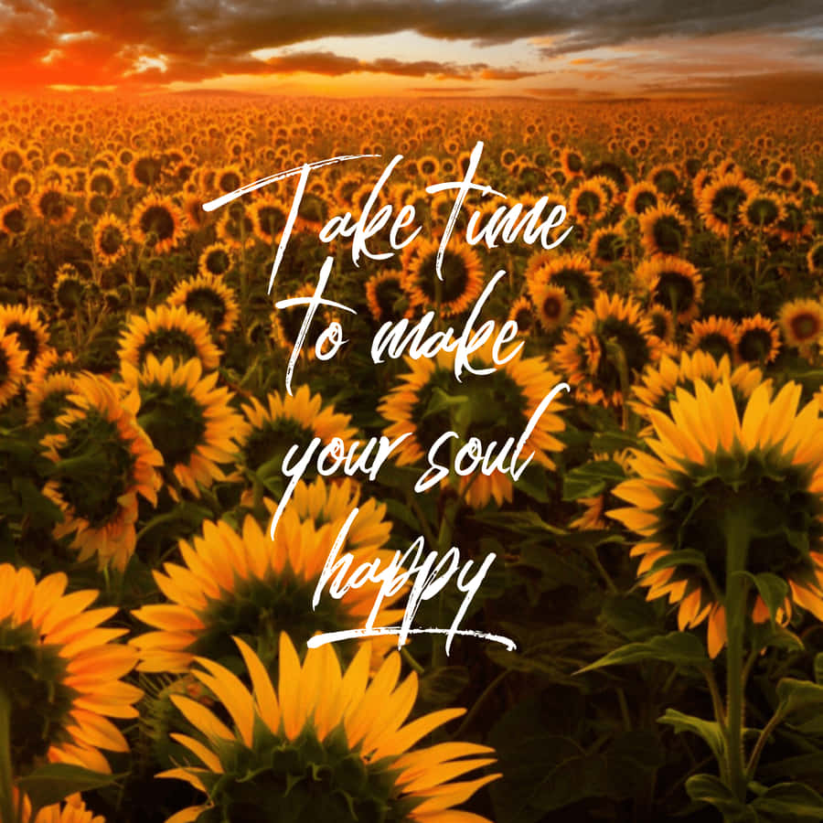 Sunflower Self-healing Quotes Wallpaper
