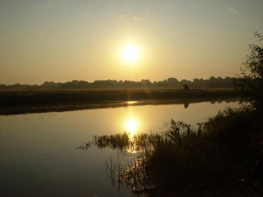 Sunrise Nature By Lake Wallpaper