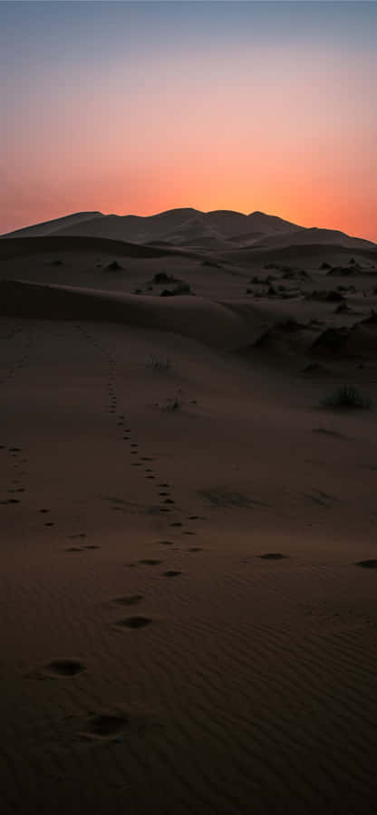 Sunset In The Desert Iphone Wallpaper