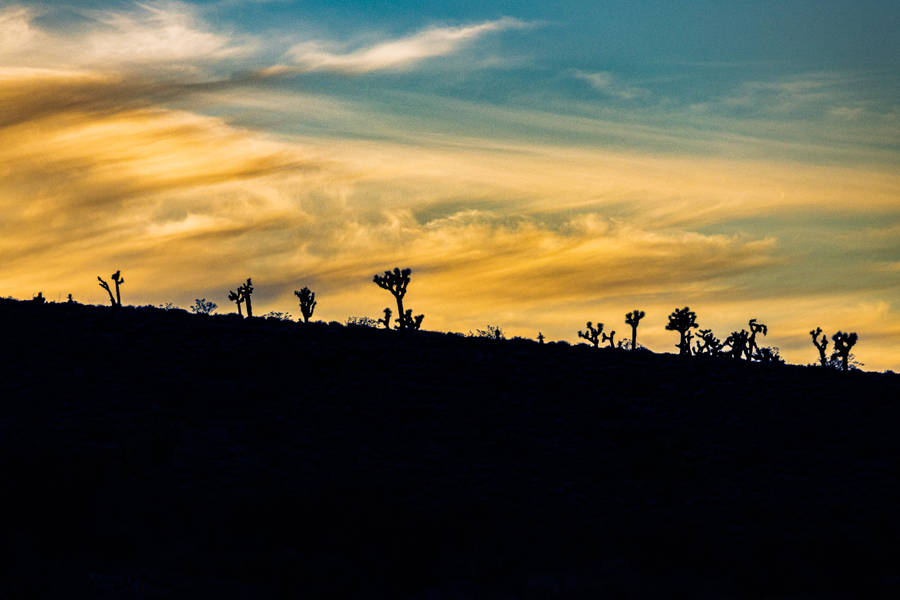 Sunsets Over A Valley Screensavers Wallpaper