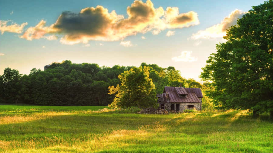 Sunshine On A Farmhouse Desktop Wallpaper