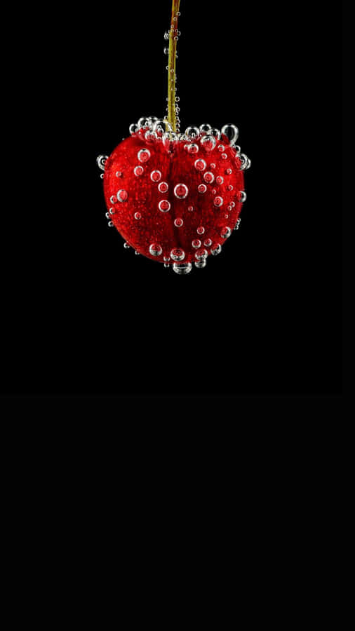 Superior Picture Quality With 4k Super Amoled Phone Wallpaper