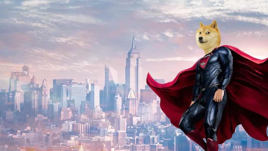 Superman Doge Wallpaper