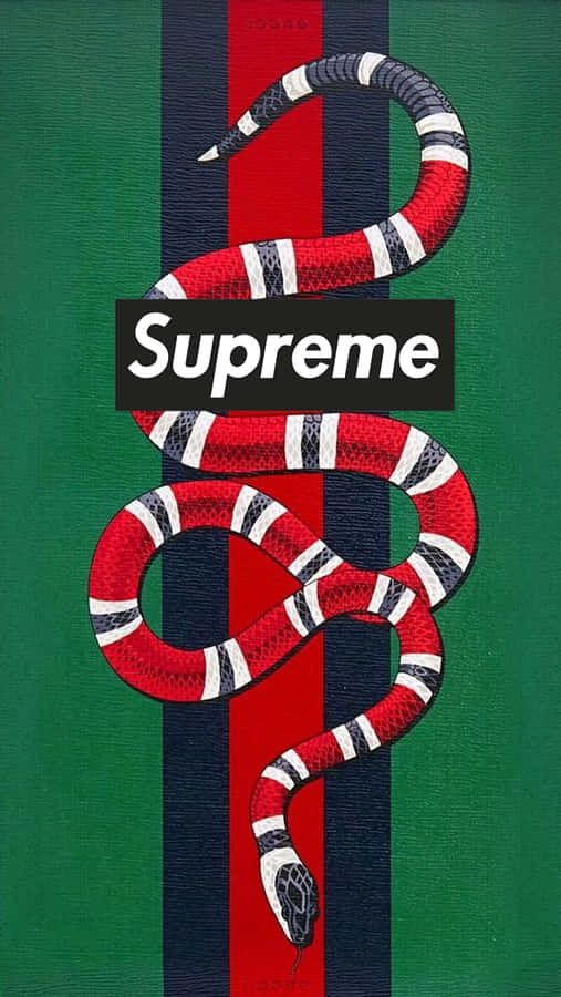 Supreme Snake - T-shirt Wallpaper