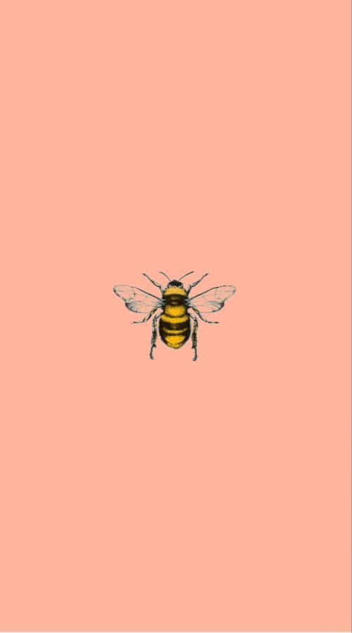 Sweet Summertime With A Vintage Bee Wallpaper