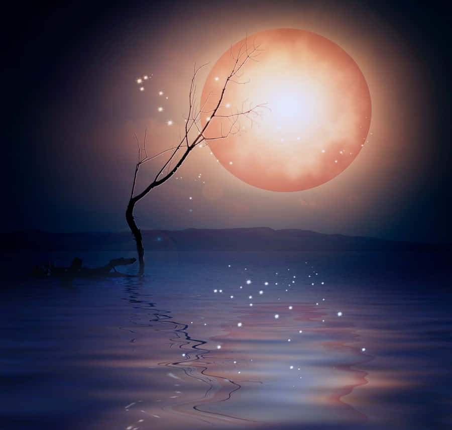 Take A Magical Trip Through The Night Sky Wallpaper