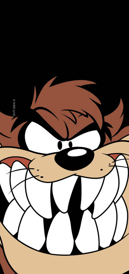 Tasmanian Devil Taz Looney Tunes Wallpaper