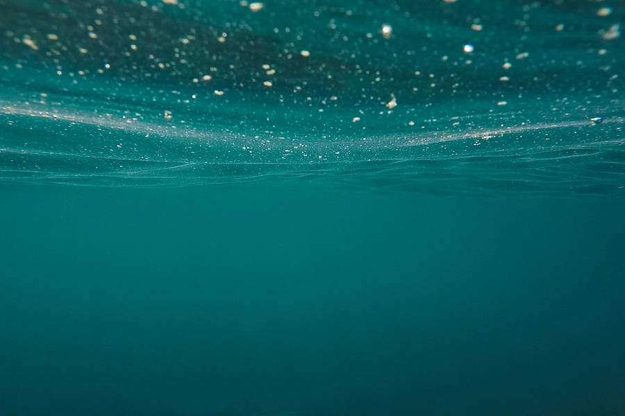 Teal Under The Sea Wallpaper