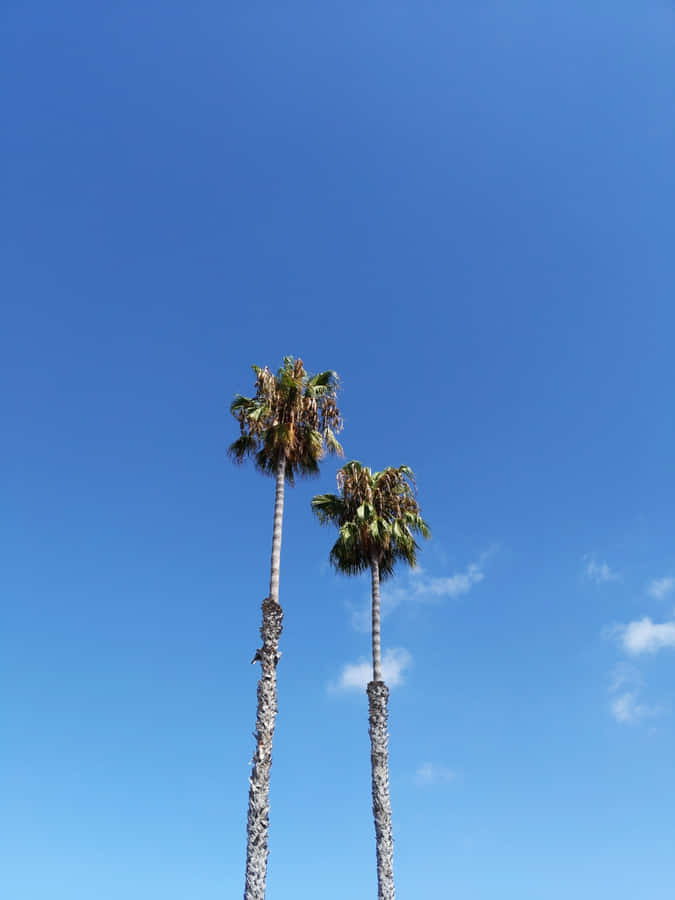 Temperatures On The Rise Wallpaper