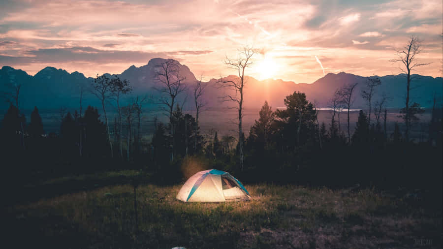 Tent By The Trees Camping Desktop Wallpaper