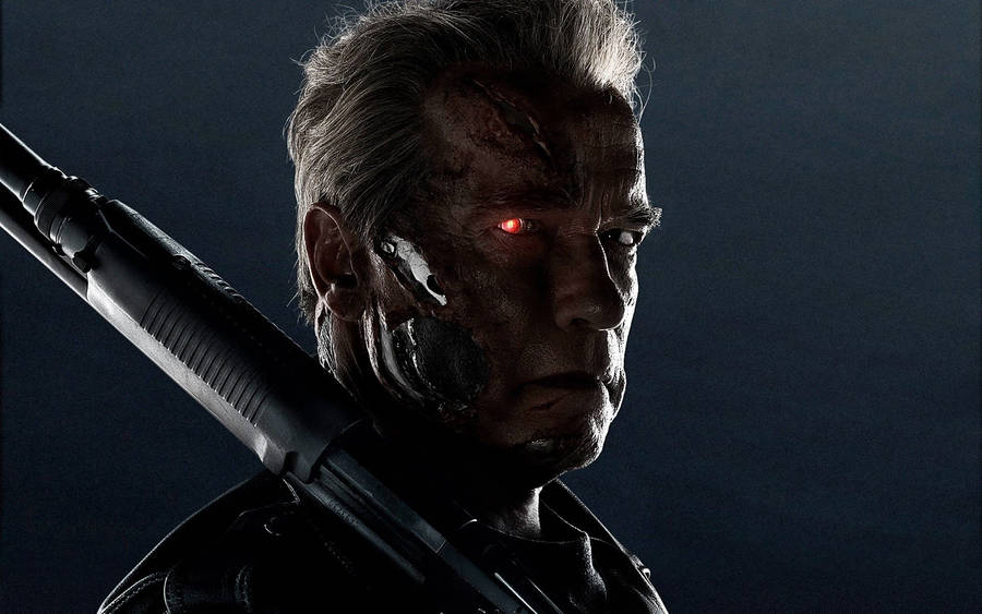 Terminator Arnold Schwarzenegger T 800 Wallpaper
