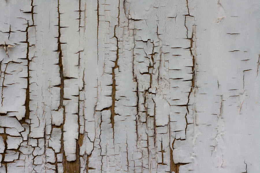 Textures For Photoshop Aged Wall Wallpaper