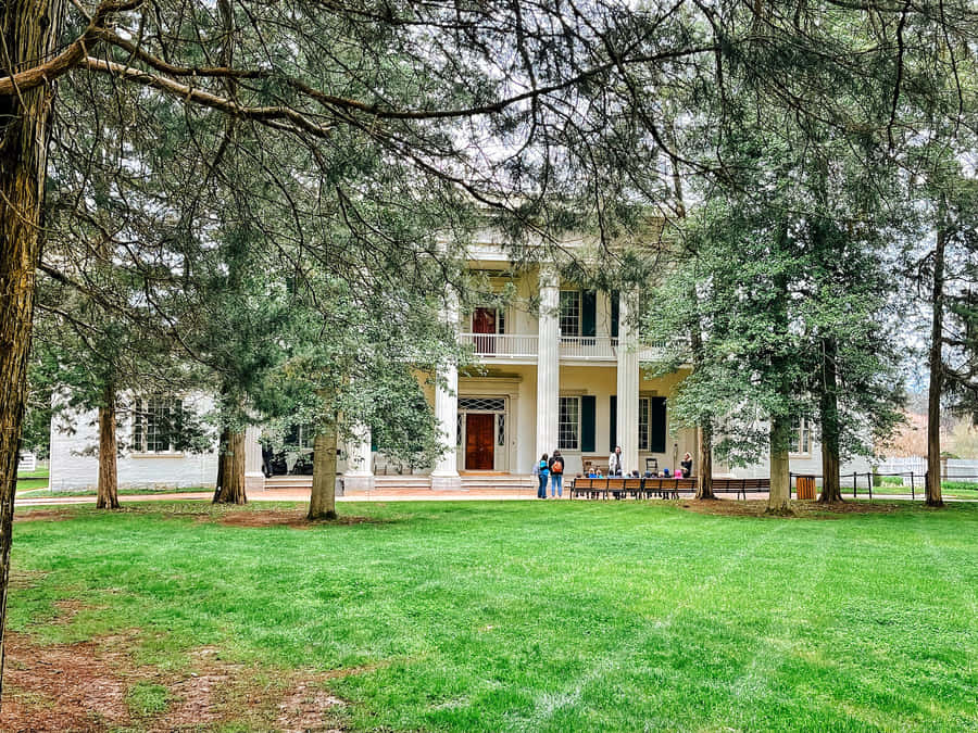 The Astonishing Hermitage Mansion Wallpaper