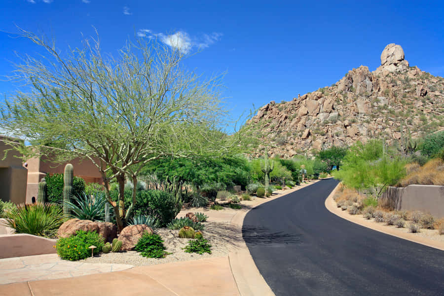 The Beautiful City Of Phoenix Arizona Wallpaper