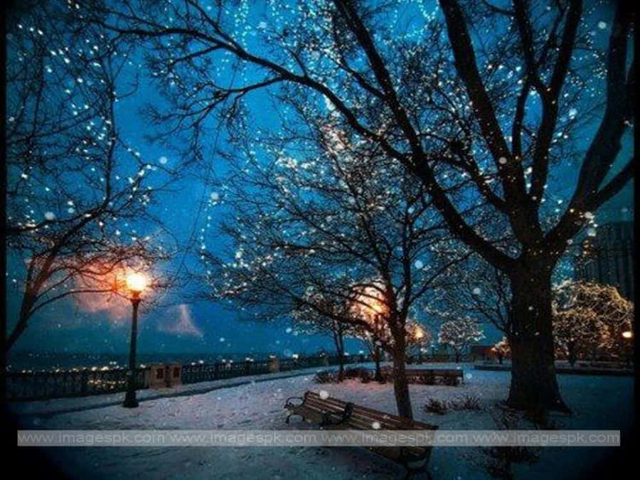 The Beauty Of A Snow-covered Winter Night Wallpaper