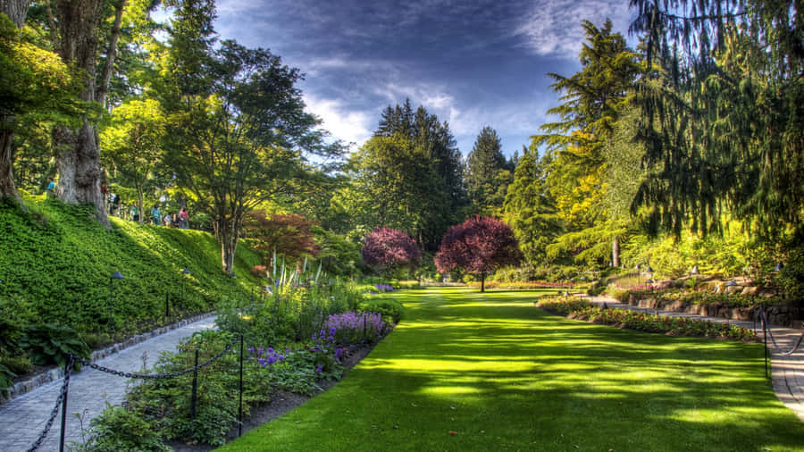 The Butchart Gardens Shrubs British Columbia Wallpaper