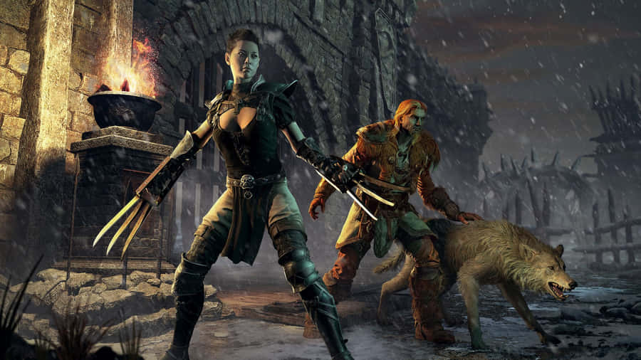 The Elder Scrolls Iii - Screenshot Wallpaper