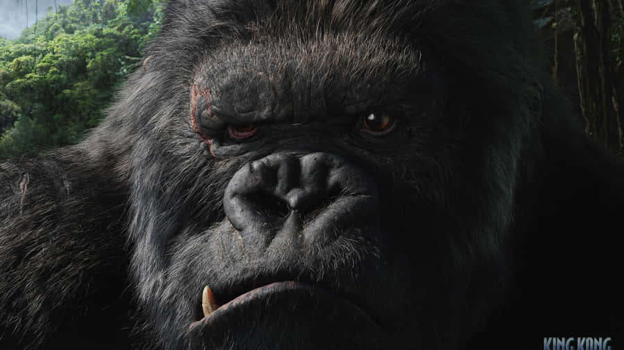 The Iconic King Kong Standing Atop The Empire State Building Wallpaper