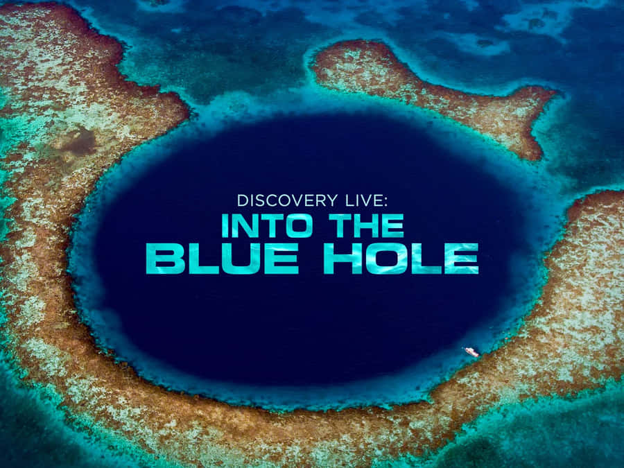 The Majestic Dive Into The Great Blue Hole Wallpaper