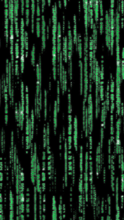 The Matrix Code Is Shown In Green Wallpaper